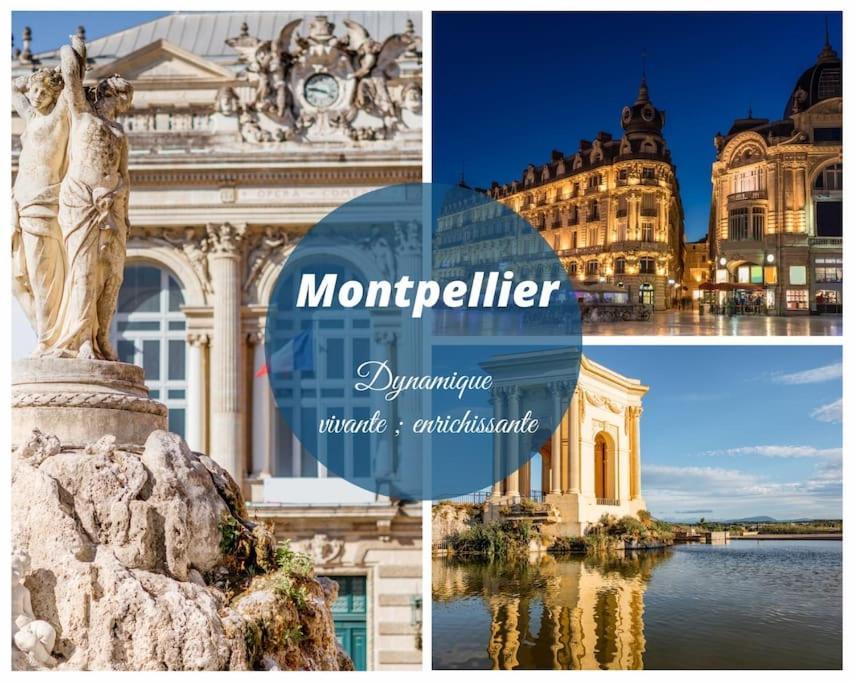 Le Murmure Du Palmier * Mer A 2 Min * Parking Prive * Terrasse La Grande Motte Luaran gambar